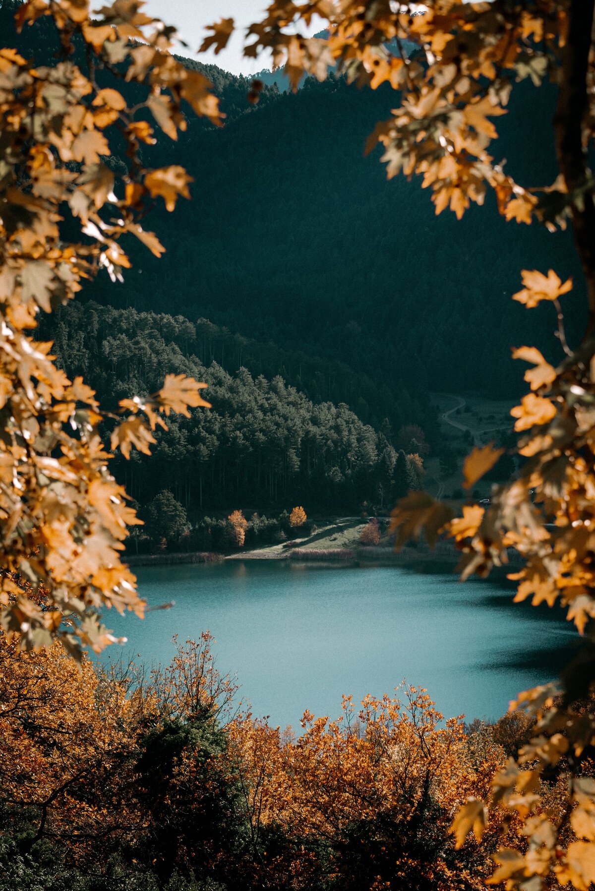 dimitris-iosifidis-Fn6pcplwSIg-unsplash